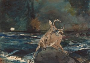 Main Product Photo of A Good Shot, Adirondacks Painting by Winslow Homer