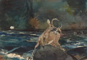 A Good Shot, Adirondacks by Oil Painting Reproduction