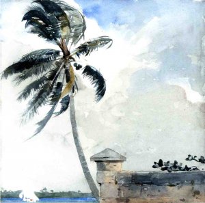 Main Product Photo of A Tropical Breeze, Nassau Painting by Winslow Homer