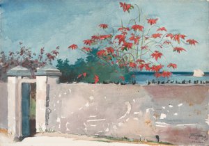 Main Product Photo of A Wall, Nassau Painting by Winslow Homer