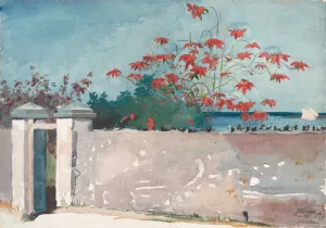 A Wall, Nassau by Winslow Homer - Hand-Painted Oil Painting Reproduction