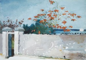 Main Product Photo of A Wall, Nassau Painting by Winslow Homer