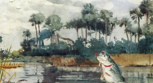 Main Product Photo of Black Bass, Florida Painting by Winslow Homer