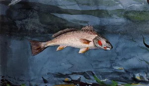 Channel Bass, Florida by Winslow Homer - Hand-Painted Oil Painting Reproduction