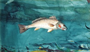 Main Product Photo of Channel Bass Painting by Winslow Homer