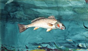 Main Product Photo of Channel Bass Painting by Winslow Homer