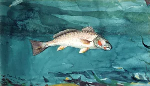 Channel Bass by Winslow Homer Oil Painting Reproduction