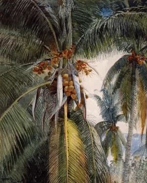 Coconut Palms, Key West by Winslow Homer - Hand-Painted Oil Painting Reproduction