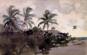 Main Product Photo of Coconut Palms Painting by Winslow Homer