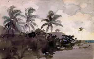 Main Product Photo of Coconut Palms Painting by Winslow Homer
