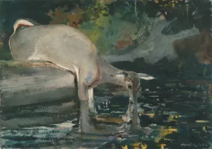 Deer Drinking by Winslow Homer Oil Painting Reproduction