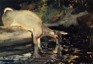 Main Product Photo of Deer Drinking Painting by Winslow Homer