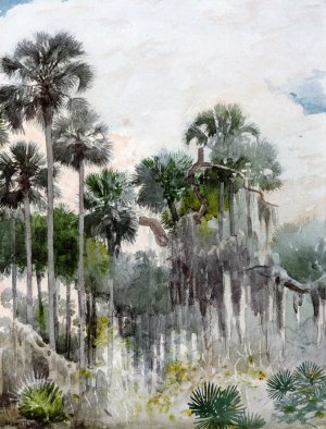 Main Product Photo of Florida Jungle Painting by Winslow Homer