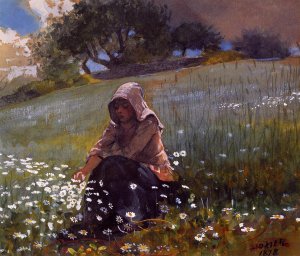 Main Product Photo of Girl and Daisies Painting by Winslow Homer