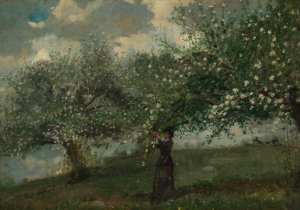 Main Product Photo of Girl Picking Apple Blossoms Painting by Winslow Homer