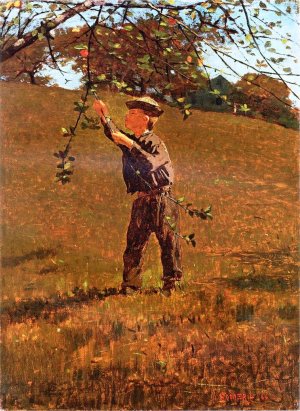Main Product Photo of Green Apples Painting by Winslow Homer
