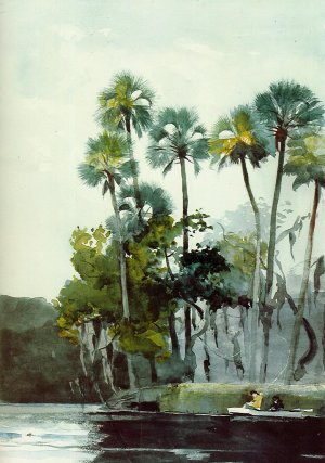 Main Product Photo of Homosassa River Painting by Winslow Homer