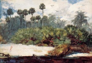Main Product Photo of In a Florida Jungle Painting by Winslow Homer