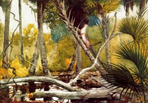 Main Product Photo of In the Jungle, Florida Painting by Winslow Homer