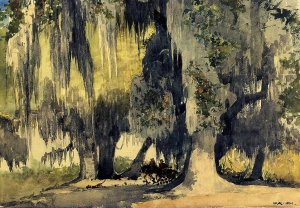 Main Product Photo of Live Oaks Painting by Winslow Homer