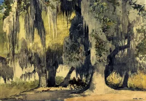 Live Oaks by Winslow Homer - Hand-Painted Oil Painting Reproduction