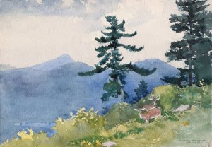 North Woods Club, Adirondacks by Winslow Homer - Hand-Painted Oil Painting Reproduction