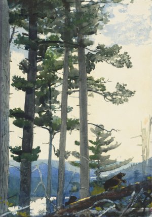 Main Product Photo of Old Settlers Painting by Winslow Homer