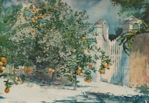 Main Product Photo of Orange Trees And Gate Painting by Winslow Homer