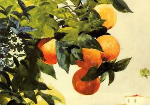 Oranges on a Branch by Winslow Homer Oil Painting Reproduction
