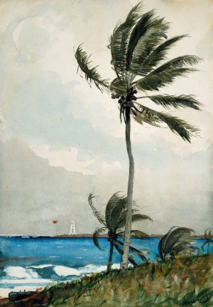 Palm Tree, Nassau by Winslow Homer Oil Painting Reproduction