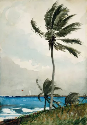Palm Tree, Nassau by Oil Painting Reproduction