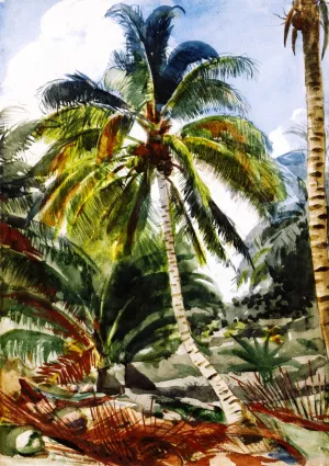 Main Product Photo of Palm Trees, Bahamas Painting by Winslow Homer