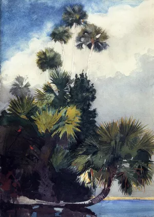 Palm Trees, Florida by Winslow Homer - Hand-Painted Oil Painting Reproduction