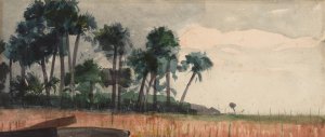 Palm Trees, Red by Winslow Homer Oil Painting Reproduction