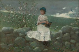 Main Product Photo of Peach Blossoms Painting by Winslow Homer