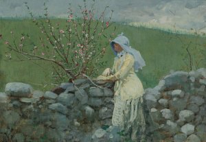Main Product Photo of Peach Blossoms Painting by Winslow Homer