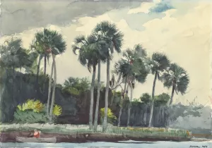 Red Shirt, Homosassa, Florida by Oil Painting Reproduction