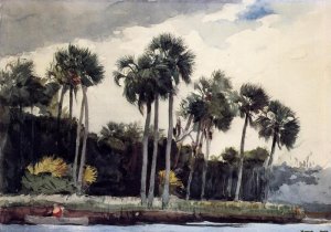 Main Product Photo of Red Shirt, Homosassa, Florida Painting by Winslow Homer