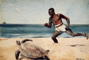 Main Product Photo of Rum Cay Painting by Winslow Homer