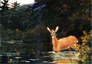 Main Product Photo of Solitude Painting by Winslow Homer