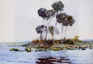 St. John's River, Florida by Oil Painting Reproduction