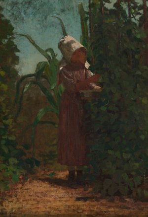 Main Product Photo of The Bean Picker Painting by Winslow Homer
