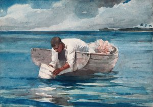 Main Product Photo of The Water Fan Painting by Winslow Homer